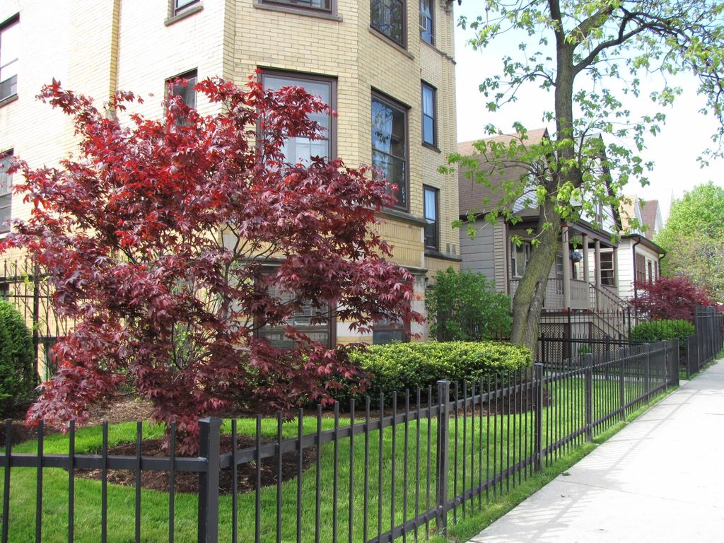 3419 W Drummond Pl #3A, Chicago, IL 60647