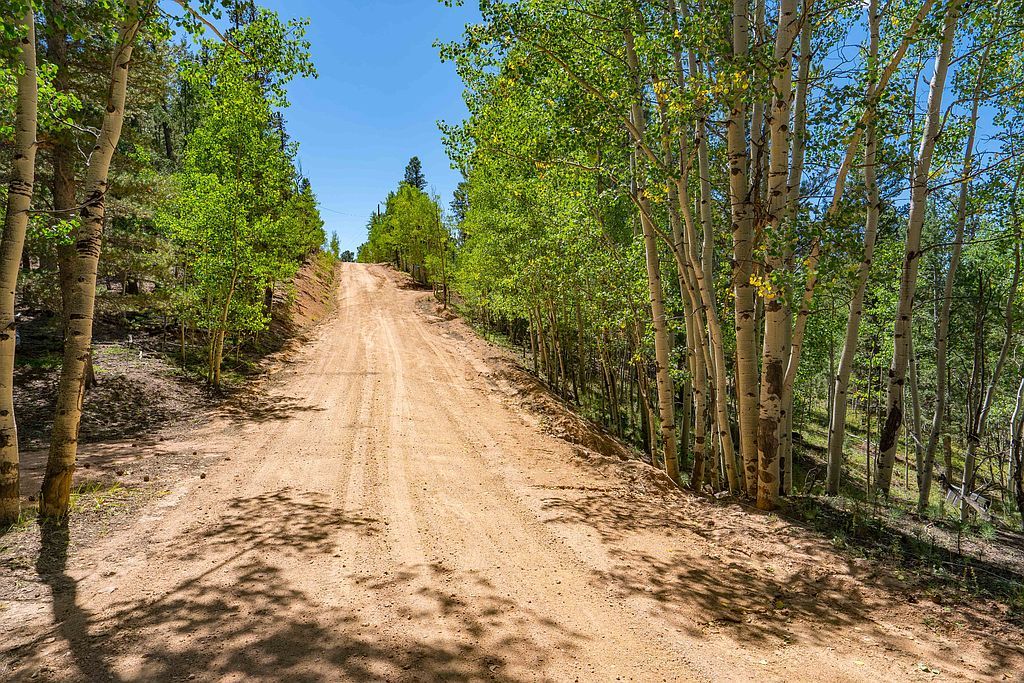 35 Hayes St, Bailey, CO 80421 Trulia