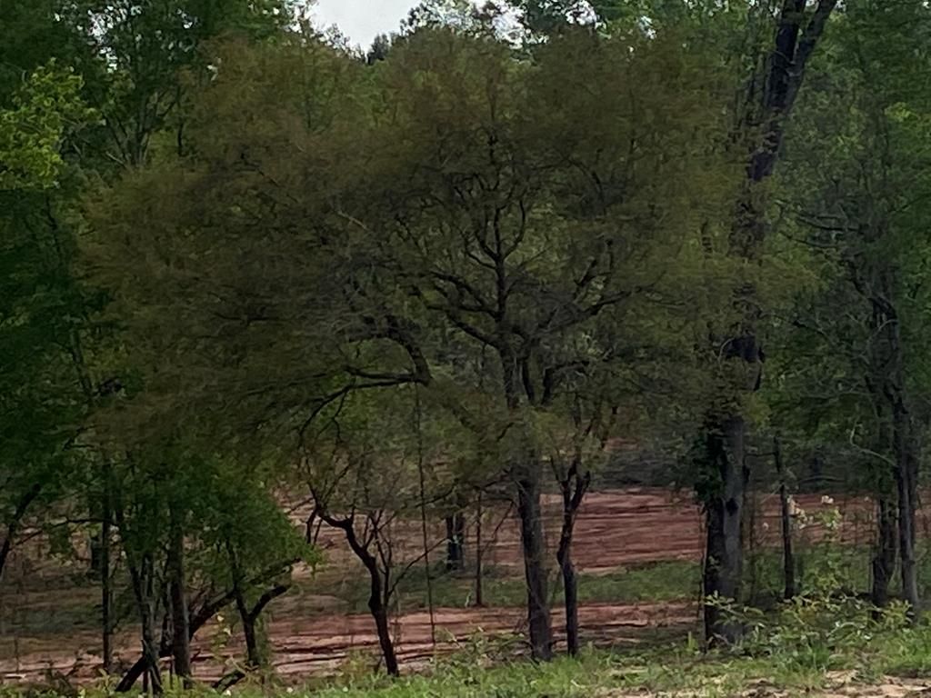 Anchor Lake Rd 13, Carriere, MS 39426 Trulia