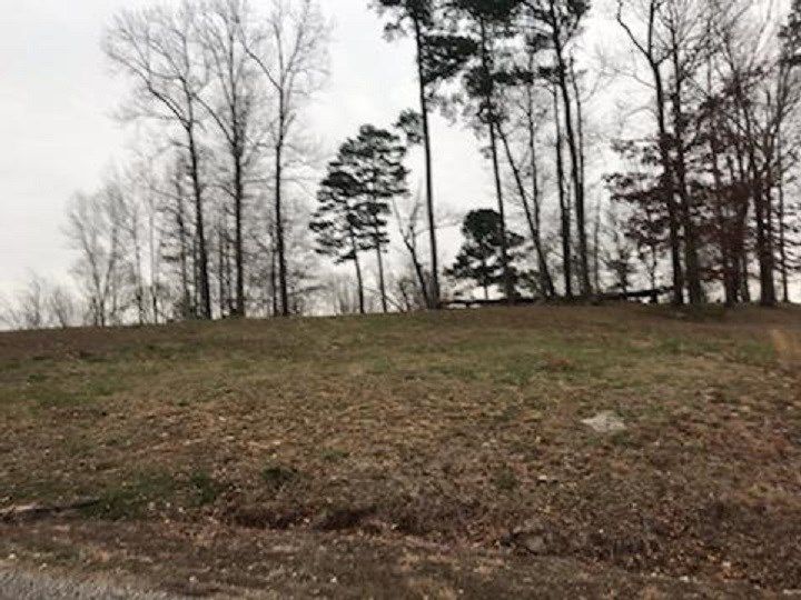 Rivers Edge Dr, Bath Springs, TN 38311 Trulia