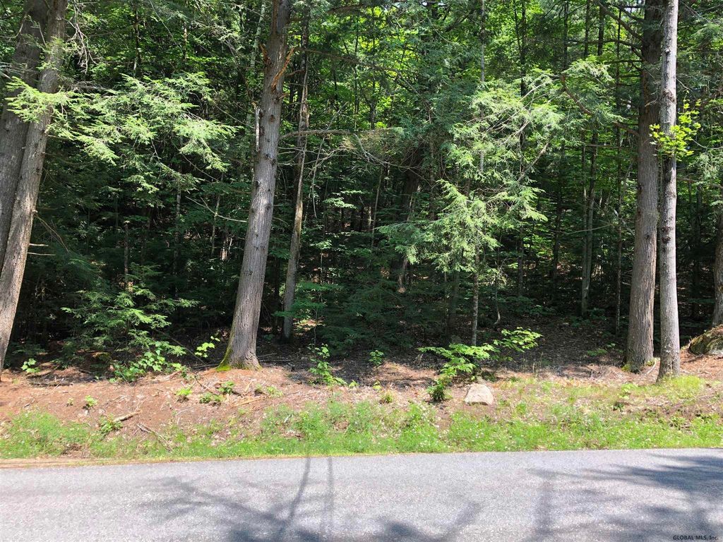 Chestertown Ny Real Estate Homes For Sale Trulia