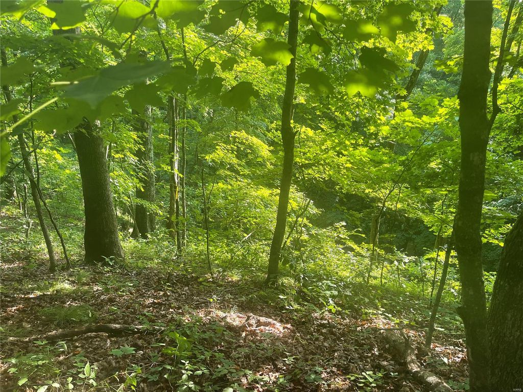 5 Tall Oak Trl, Warrenton, MO 63383 Trulia