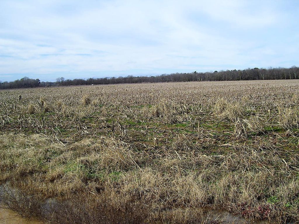 Lr Ogden 70, Ashdown, AR 71822 Trulia