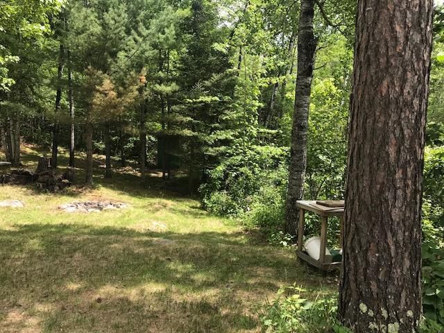 4395 Mud Creek Rd, Ely, MN 55731 - 1 Bed Single-Family Home - MLS
