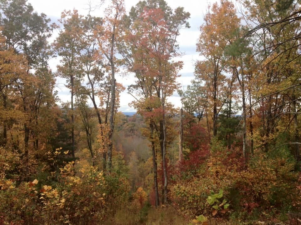 Windy Gap Dr, Roanoke, VA 24014 Trulia