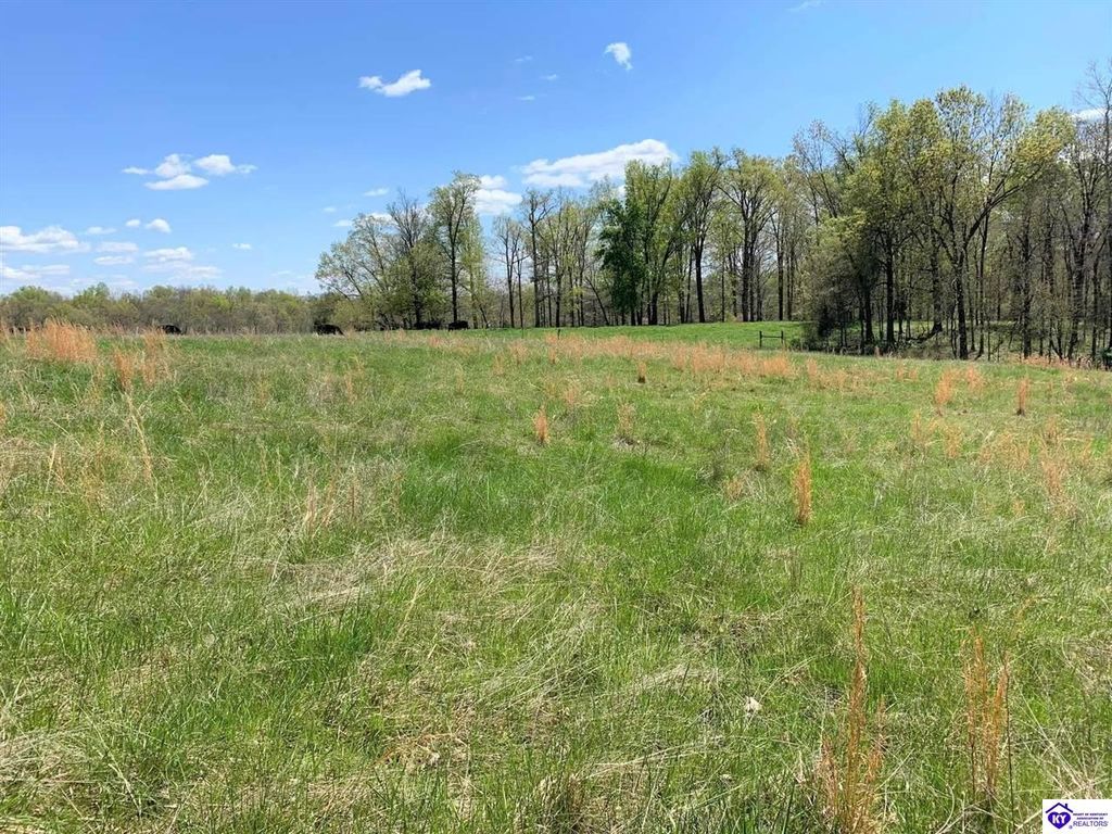 Army Navy Ln, Hardinsburg, KY 40143 Trulia