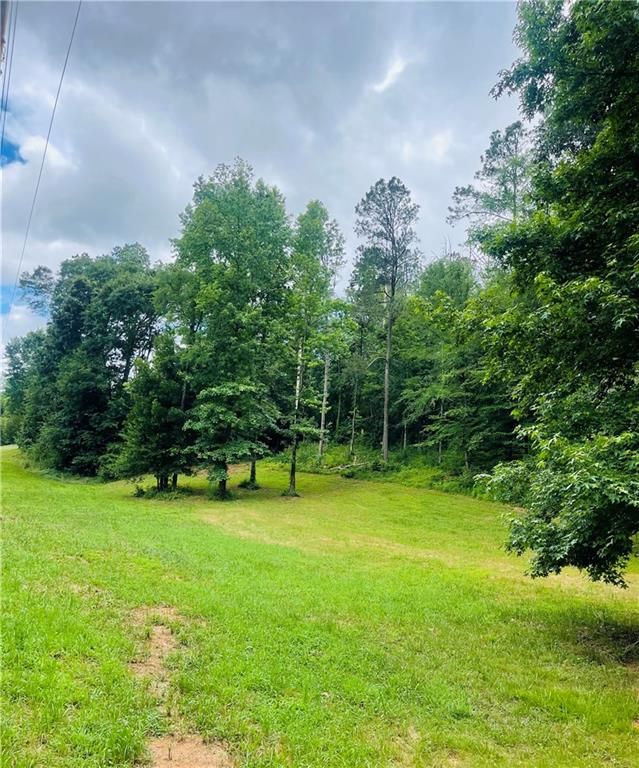 1771 McDaniel Station Rd SW 19&20, Calhoun, GA 30701 MLS 7235286