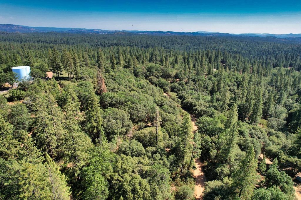 1233 Cedar Hill Rd, Rail Road Flat, CA 95248 MLS 224002408 Trulia