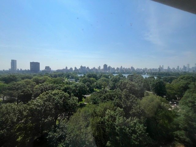 350 Central Park W 14HH New York - 4c6d4d9bf0f2da13edb99a0131bff880 Full