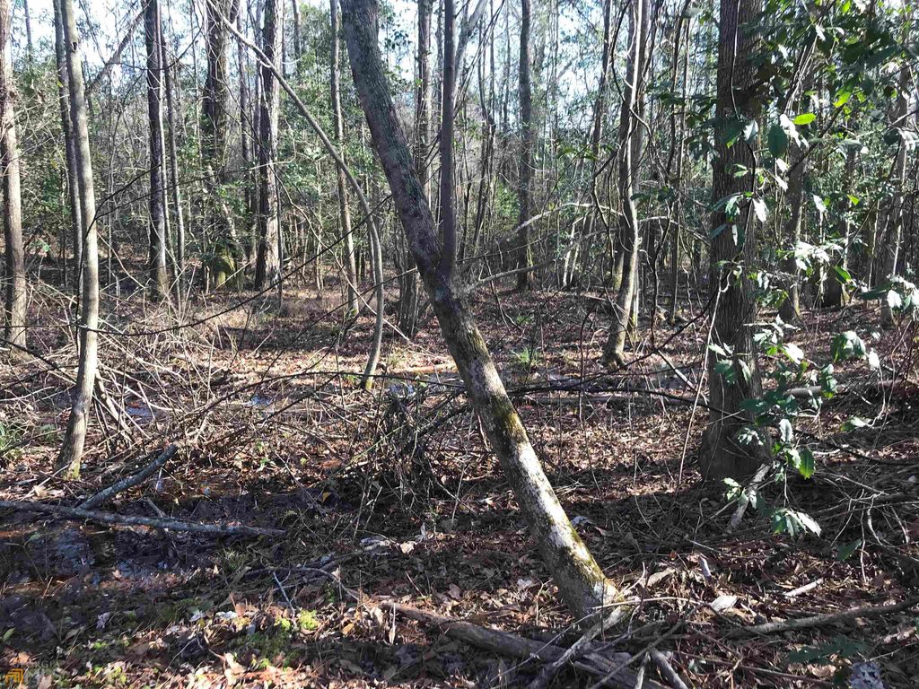 Mill Pond Rd E, Buena Vista, GA 31803 Trulia