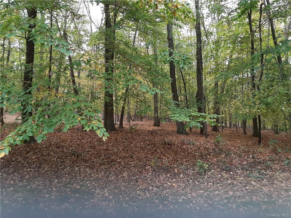 237 N Salem Road Lot 4, Waccabuc, NY 10597 Trulia