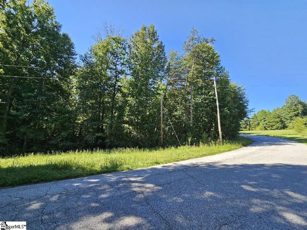 604 S Mountain View Rd, Landrum, SC 29356 Trulia