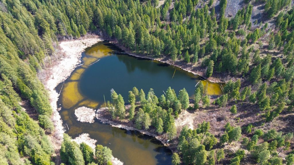 Apex Rd, Inchelium, WA 99138 MLS 43297 Trulia