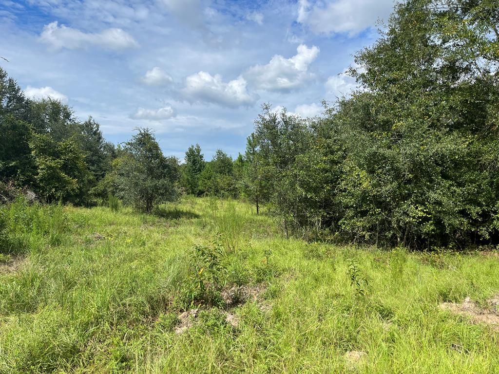 Mosley Ln, Climax, GA 39834 Trulia