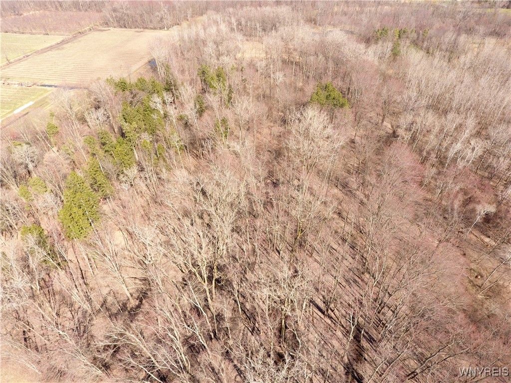 Murdock Rd #10, Medina, NY 14103