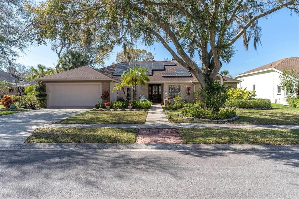 4486 Berisford Blvd, Palm Harbor, FL 34685 MLS W7862400 Trulia