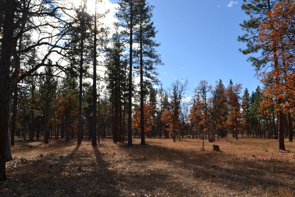 Nsd Day Rd, McArthur, CA 96056 Trulia