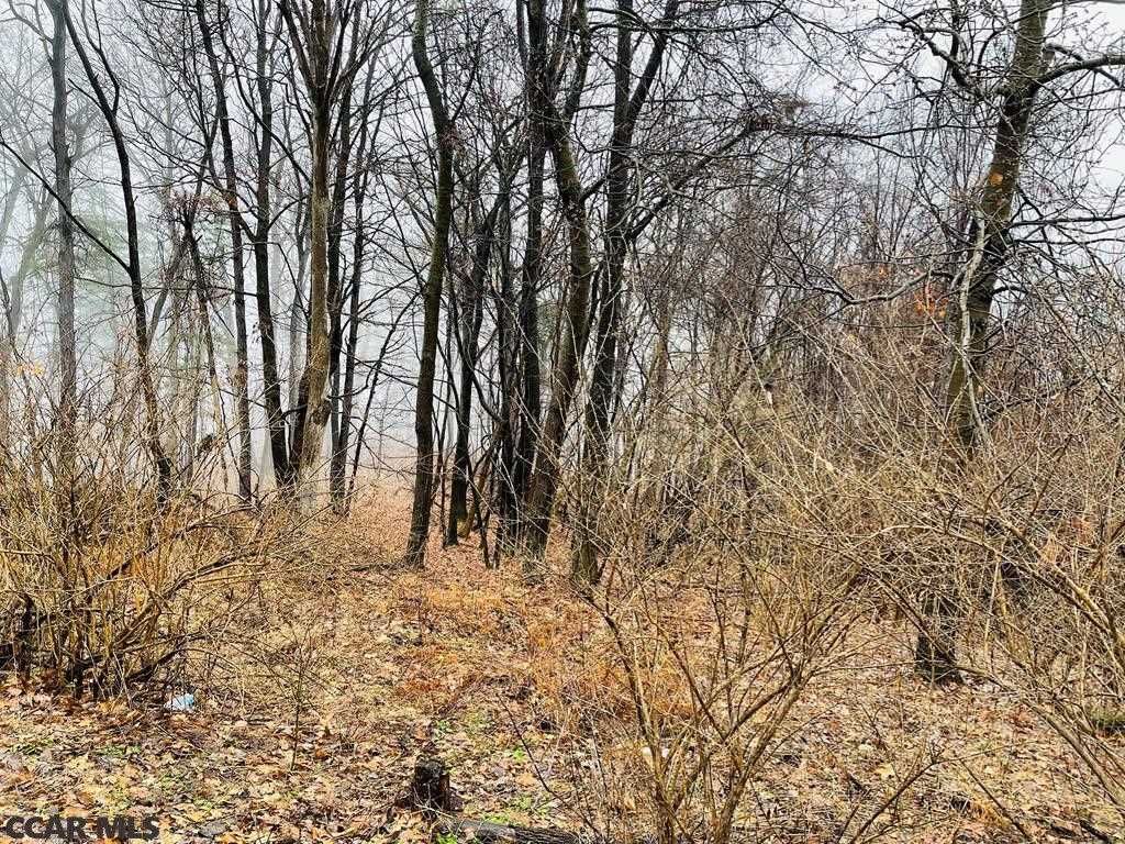 Lot 2 Purdue Mountain Rd, Bellefonte, PA 16823 Trulia