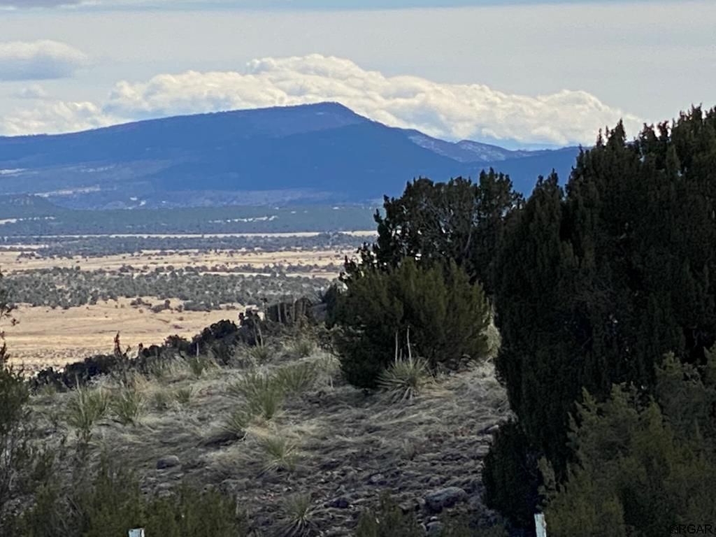 homes for sale in florence co