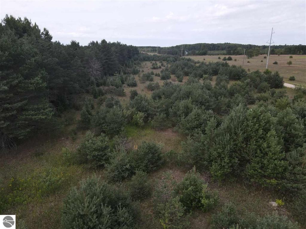 Buttermilk Ln, Manton, MI 49663 Trulia