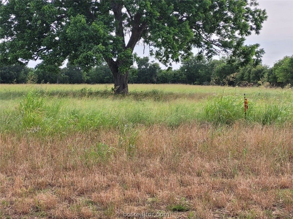 Leonard Rd, Bryan, TX 77807 Trulia