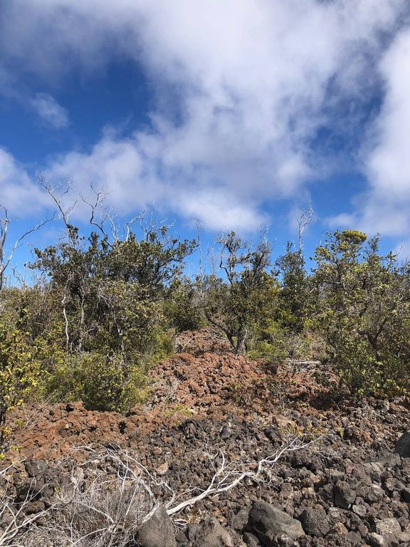 30 Ocean View Pkwy, Captain Cook, HI 96704 Trulia