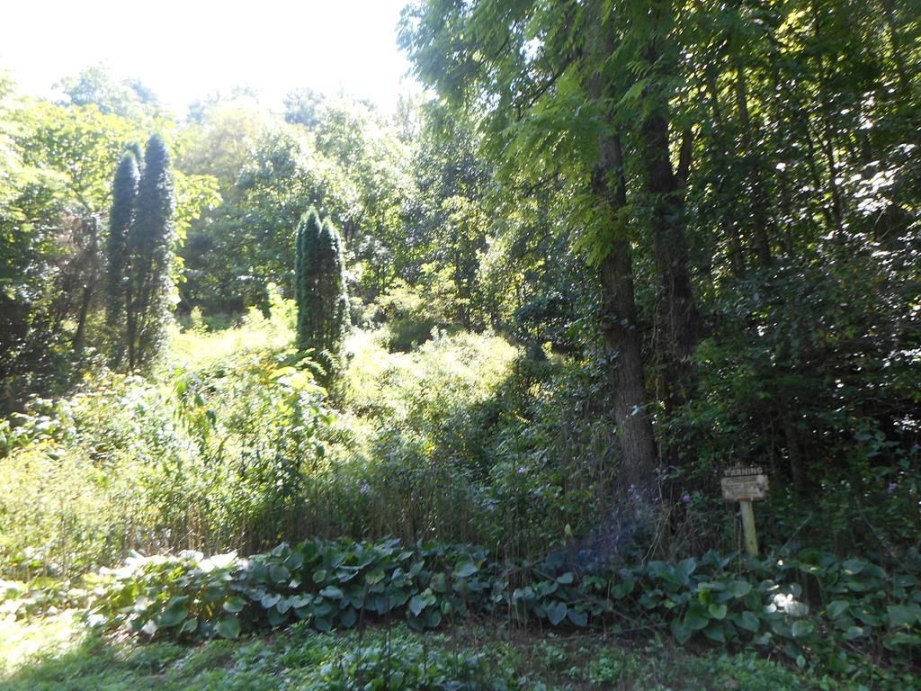 Little Ellijay Rd, Franklin, NC 28734 MLS 26031520 Trulia