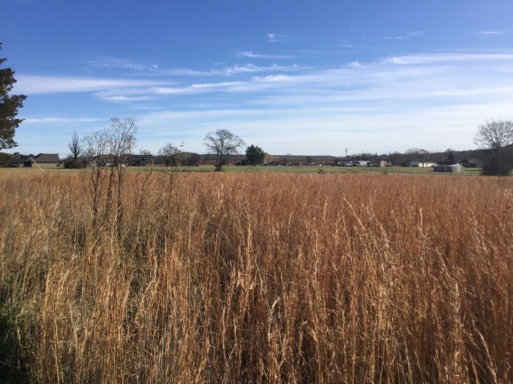 Old Stewart Creek Rd, Murfreesboro, TN 37129 MLS 2463711 Trulia