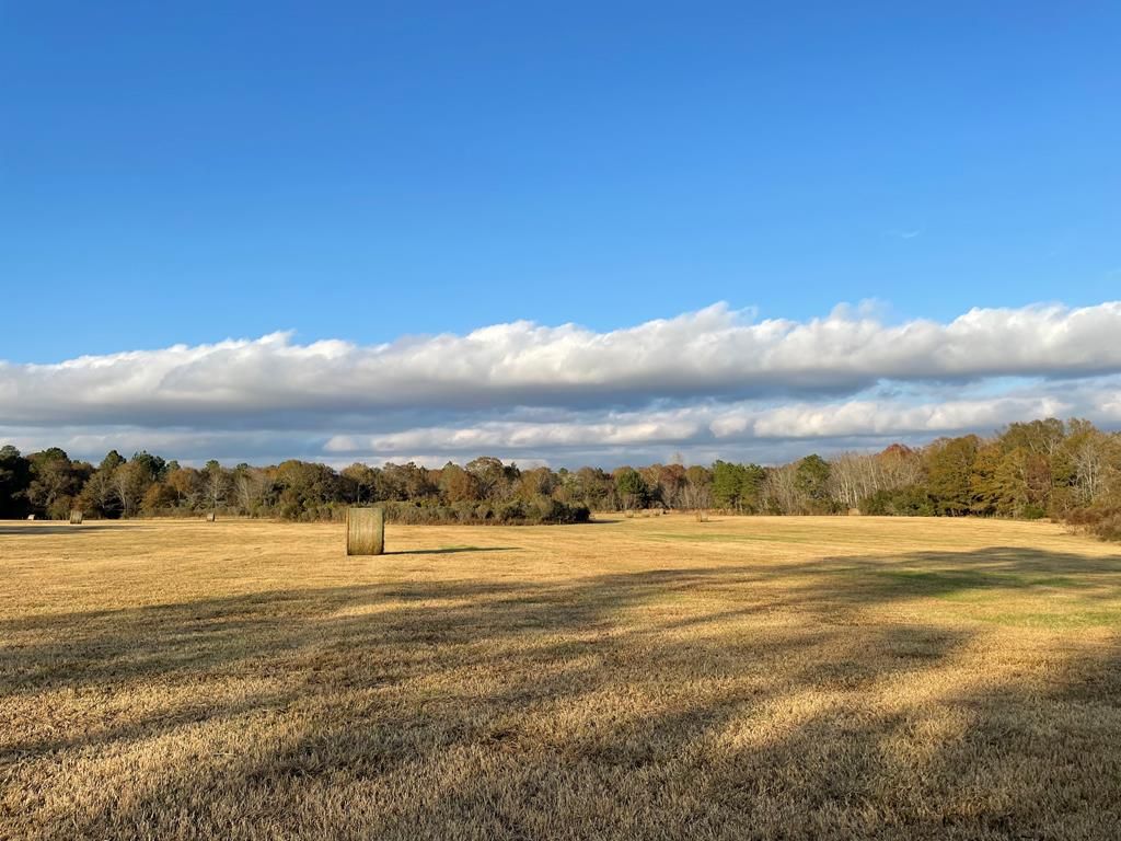 305 Hancock Rd, Rebecca, GA 31783 Trulia