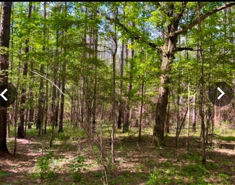 15 Dykes Chapel Rd, Richton, MS 39476 Trulia