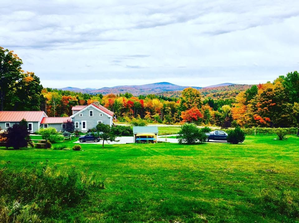 530 Chapin Rd, East Wallingford, VT 05742 Trulia