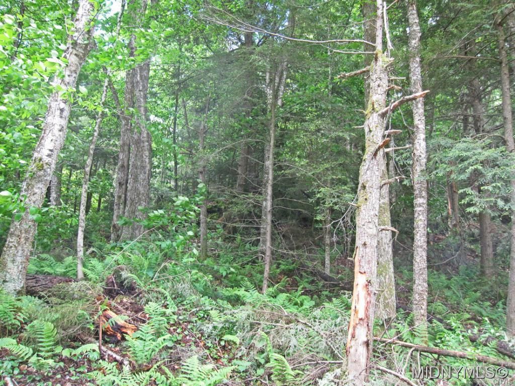 2 Goldmine Subdivision, Salisbury Center, NY 13454 Trulia