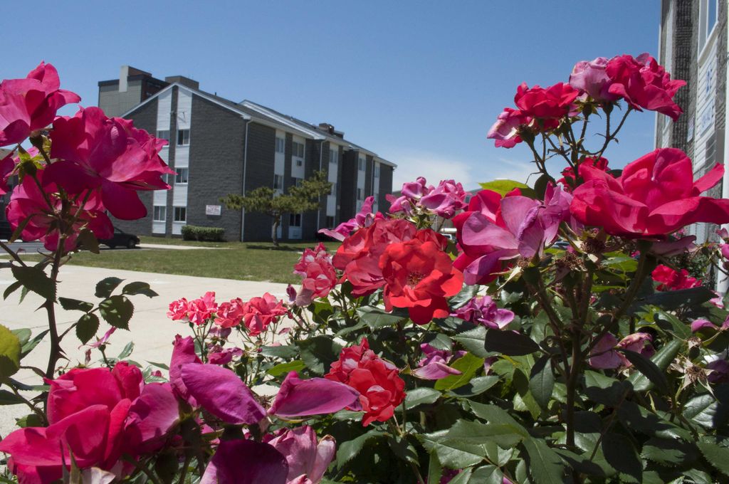 Carolina Village Atlantic City, NJ Trulia