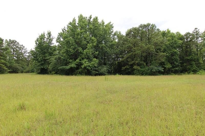 2315 Barham Rd, Hornbeck, LA 71439 Trulia