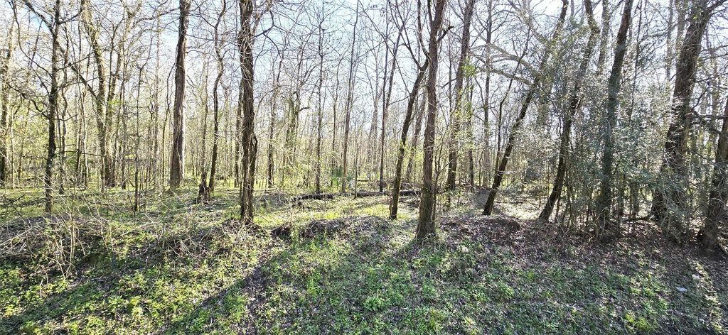 County Road 2500, Liberty, TX 77575