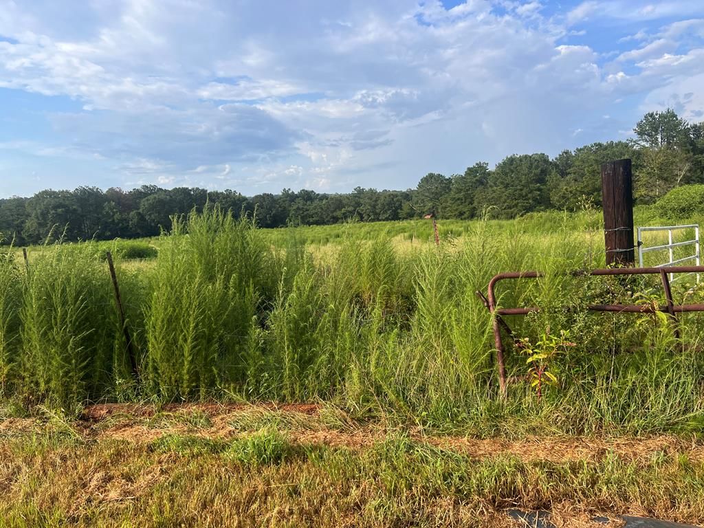 Maggie Rd, Opp, AL 36467 Trulia