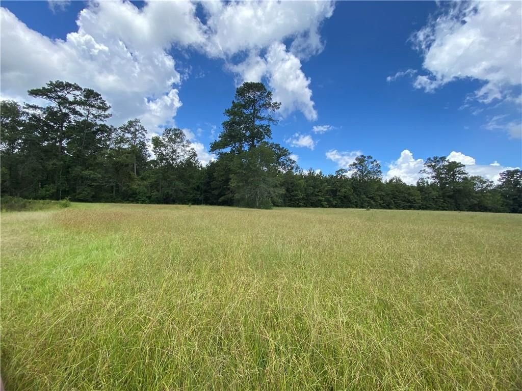 Jones Rd, Pine Grove, LA 70453 Trulia