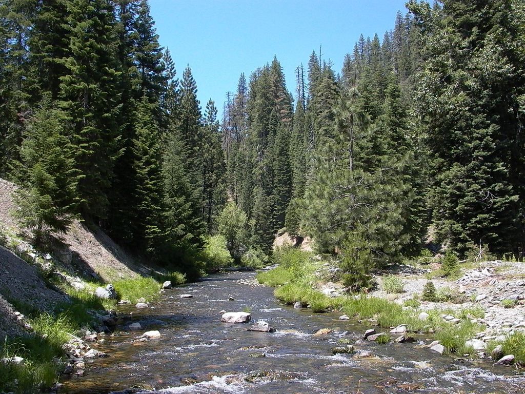 12680 Coffee Creek Rd, Trinity Center, CA 96091 Trulia