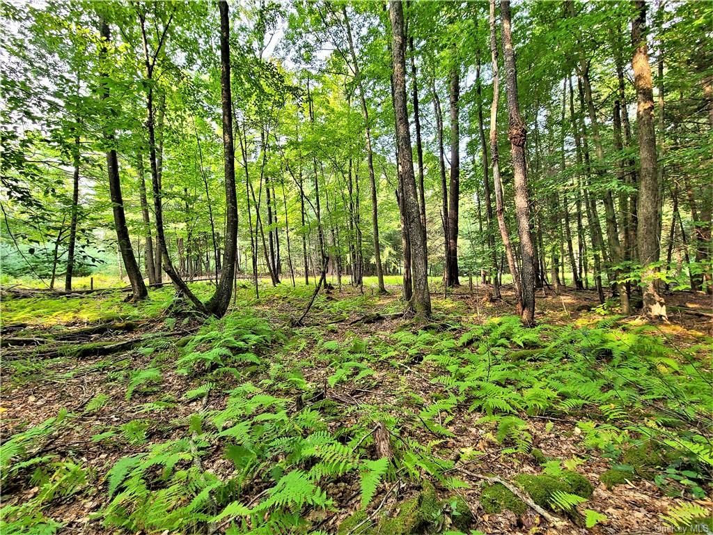 Andrew Lane, White Lake, NY 12786 Trulia