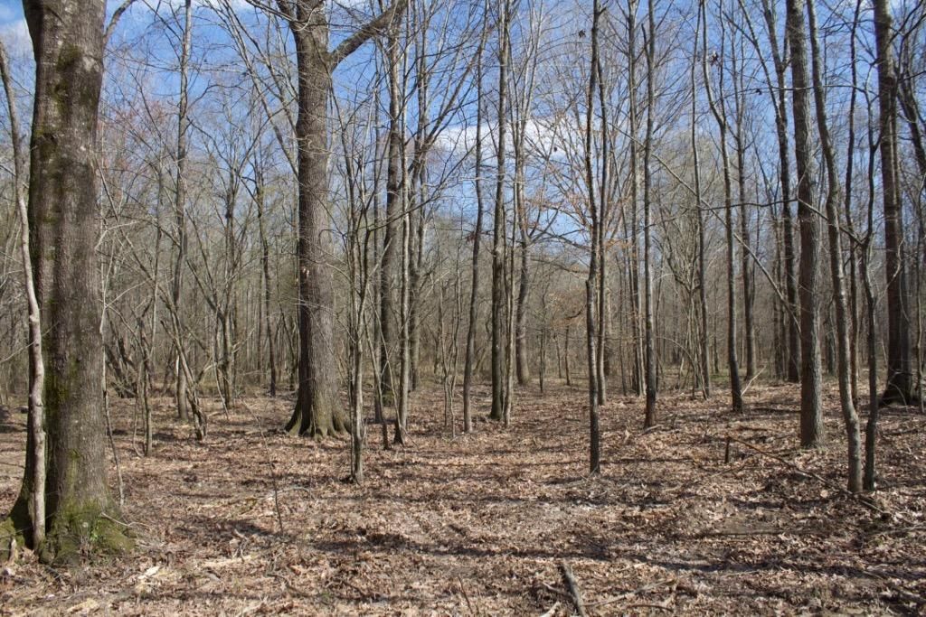 Sandhill Rd, Shuqualak, MS 39361 Trulia