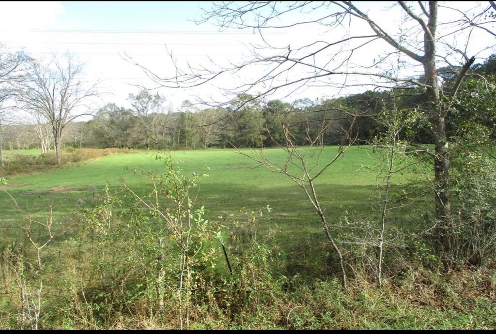 Summerland Rd, Taylorsville, MS 39168 Trulia