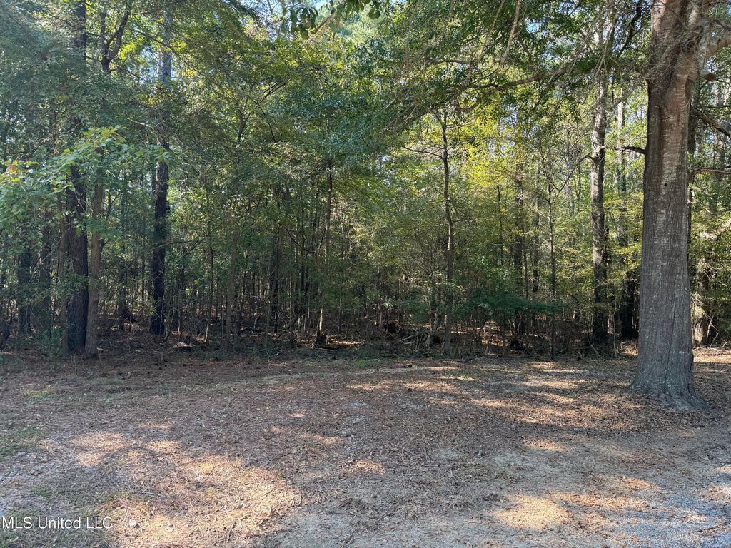 Deerwood Xing 76B, Canton, MS 39046 Lot/Land for Sale MLS 4094232