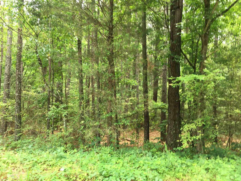 Pine Mountain Rd 10, Cedartown, GA 30125 Trulia