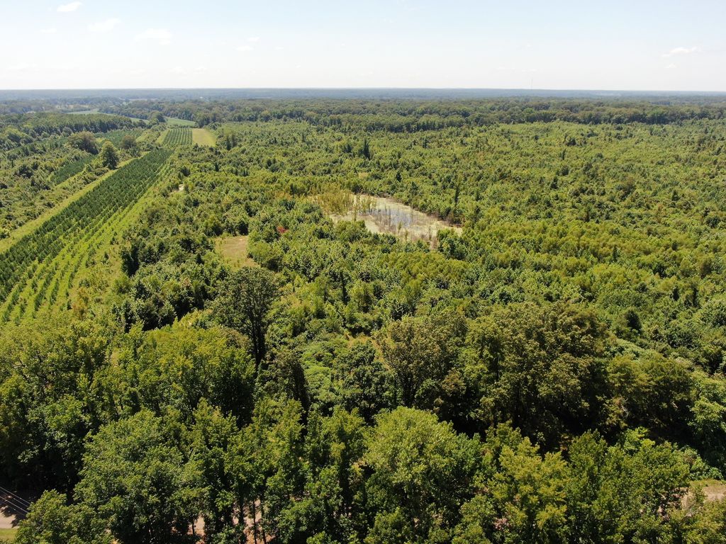 Arkabutla Rd WP004, Coldwater, MS 38618 Trulia