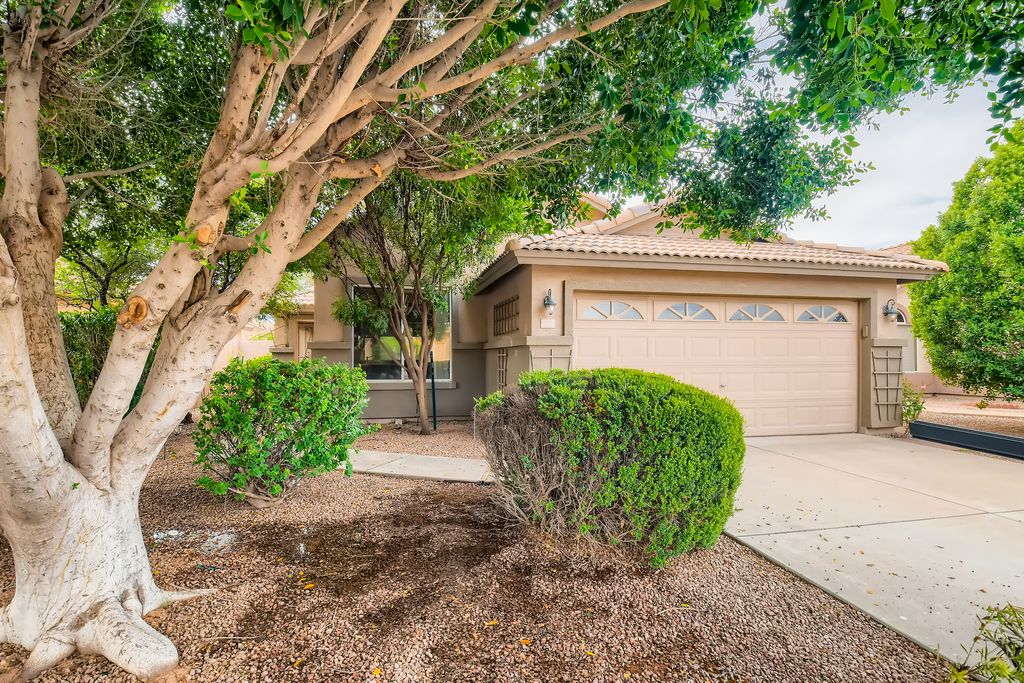 177 W Shannon St, Gilbert, AZ 85233