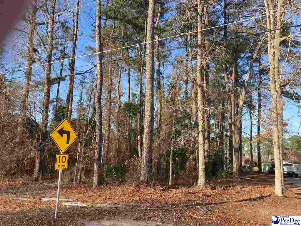 Laurel Ln, Dillon, SC 29536 Trulia