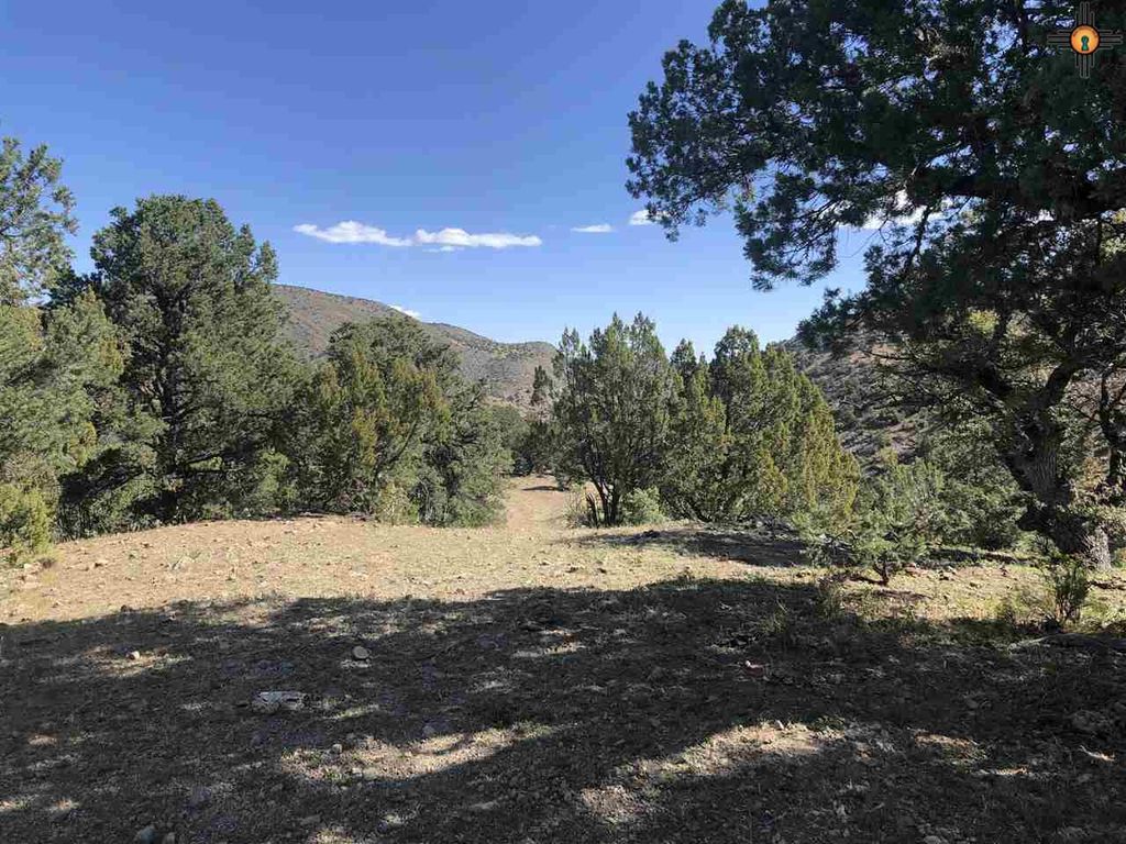 4 Winston, Winston, NM 87943 Trulia