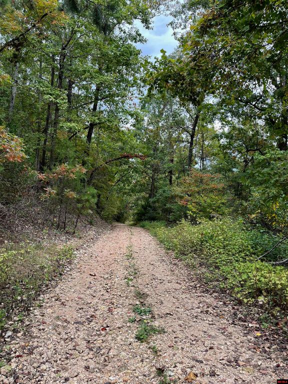 00107980002 Jimmy Creek Trl, Yellville, AR 72687 Trulia