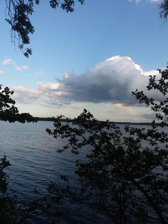 Tbd W Toad Lake Drive Toad Lake Twp, Osage, MN 56570 Trulia