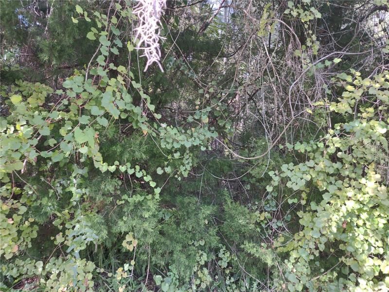 24623 State Road 40 1, Astor, FL 32102 Trulia